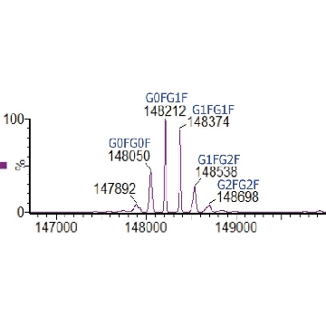 SILu™Lite SigmaMAb曲妥珠单抗单克隆抗体，0.5MG，MSQC22-0.5MG，Sigma