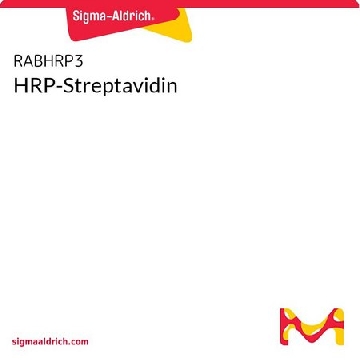 HRP-链霉亲和素，600UL，RABHRP3-600UL，Sigma