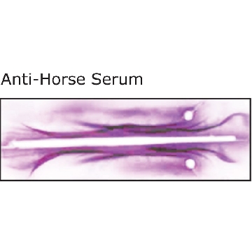 Anti-Horse Serum antibody produced in rabbit，2ML，H8890-2ML，Sigma