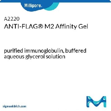 抗-FLAG® M2亲和凝胶，4X25ML，A2220-4X25ML，密理博