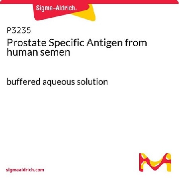 前列腺特异性抗原 来源于人类精液，10UG，P3235-10UG，Sigma