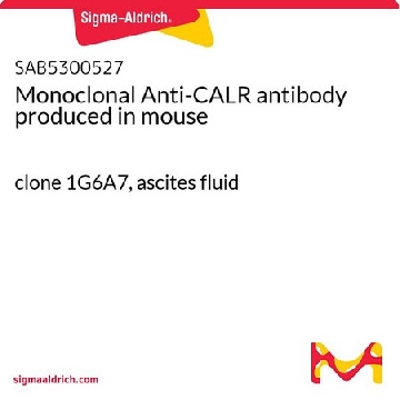 Monoclonal Anti-CALR antibody produced in mouse，100UL，SAB5300527-100UL，Sigma