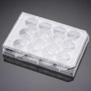 Corning® Falcon® Cell Culture Plate，50EACH，CLS353043，Sigma