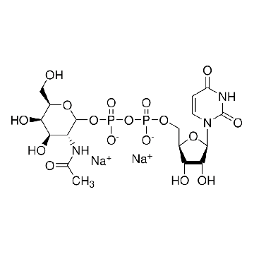 尿苷 5′-二磷酸-N-乙酰半乳糖胺 二钠盐，5MG，U5252-5MG，Sigma