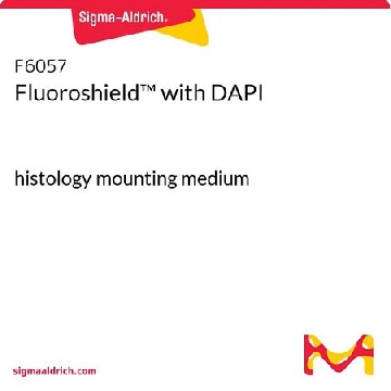 Fluoroshield™ 封固剂（含DAPI），20ML，F6057-20ML，Sigma