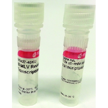 M-MLV 逆转录酶，40000UNITS，M1302-40KU，Sigma