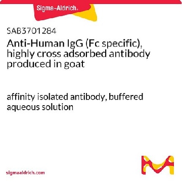 抗-人IgG（Fc特异性），高度交叉吸附 山羊抗，1MG，SAB3701284-1MG，Sigma