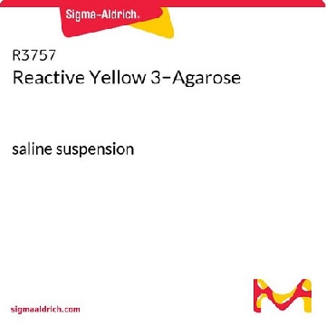 Reactive Yellow 3−Agarose，100ML，R3757-100ML，Sigma