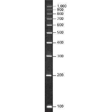 DirectLoad ™ PCR 100 bp 低梯形，1VIAL，D3687-1VL，Sigma