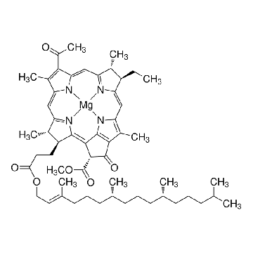 菌叶绿素 来源于球形红假单胞菌，1MG，B5906-1MG，Sigma