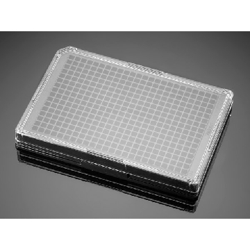 Corning® BioCoat™ Poly-D-Lysine Microplate，80EACH，CLS356697，Sigma