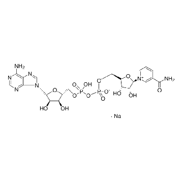 β-烟酰胺腺嘌呤二核苷酸 钠盐，1G，N0632-1G，Sigma