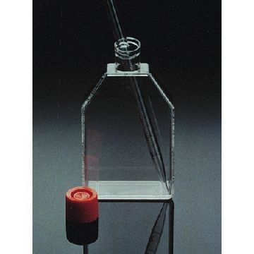 Corning® 细胞培养瓶，100EA，CLS430641WJ-100EA，Sigma