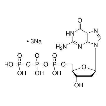 dGTP，1250UL，11969030001，Roche