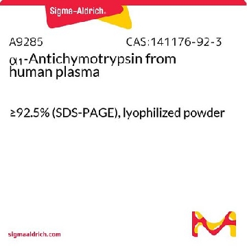 α₁-Antichymotrypsin 来源于人类血浆，0.1MG，A9285-.1MG，Sigma