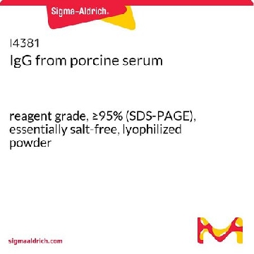 IgG 来源于猪血清，10MG，I4381-10MG，Sigma