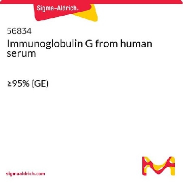 免疫球蛋白 G 来源于人类血清，25MG，56834-25MG，Sigma