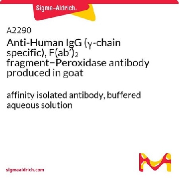 抗-人IgG（γ-链特异性），F(ab′)₂ 片段−过氧化物酶 山羊抗，1ML，A2290-1ML，Sigma