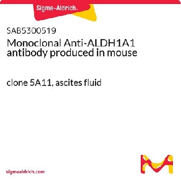 Monoclonal Anti-ALDH1A1 antibody produced in mouse，100UL，SAB5300519-100UL，Sigma
