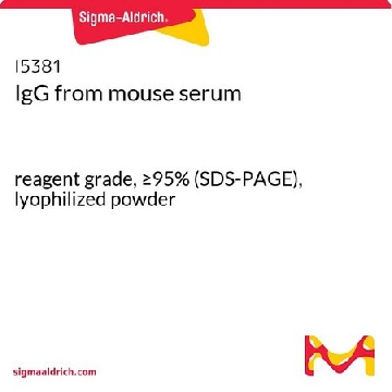 IgG 来源于小鼠血清，1MG，I5381-1MG，Sigma