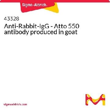 Anti-Rabbit-IgG - Atto 550 antibody produced in goat，1ML，43328-1ML-F，Sigma