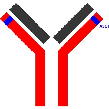 SILu™MAb Nivolumab Stable-Isotope Labeled Monoclonal Antibody，100UG，MSQC27-100UG，Sigma