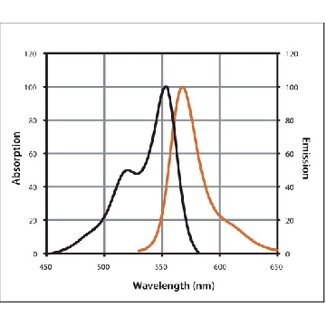 Anti-Rabbit IgG (H+L), highly cross-adsorbed, CF™ 555 antibody produced in donkey，250UL，SAB4600061-250UL，Sigma