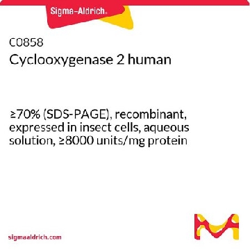 环氧化酶 2 人，1000UNITS，C0858-1000UN，Sigma