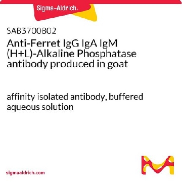 Anti-Ferret IgG IgA IgM (H+L)-Alkaline Phosphatase antibody produced in goat，1MG，SAB3700802-1MG，Sigma