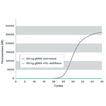 dsDNase，250UNITS，SRE0119-250U，Sigma