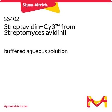 链霉亲和素 −Cy3™ 来源于阿维丁链霉菌，1ML，S6402-1ML，Sigma