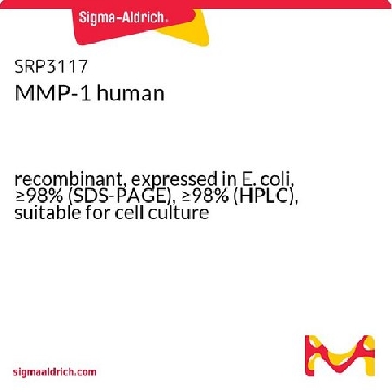 MMP-1 人，10UG，SRP3117-10UG，Sigma