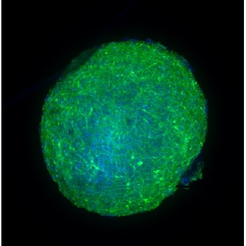 Visikol® HISTO-M™，30ML，HM-30，Sigma