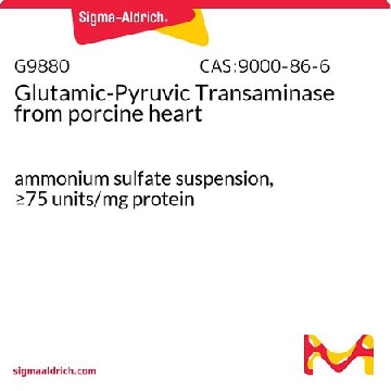 谷丙转氨酶 来源于猪心脏，500UNITS，G9880-500UN，Sigma