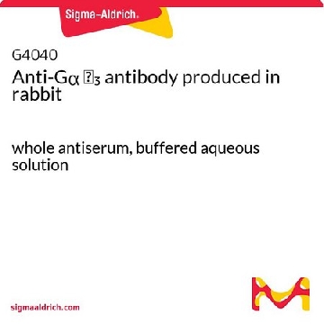 Anti-Gα ᵢ₃ antibody produced in rabbit，1VIAL，G4040-1VL，Sigma