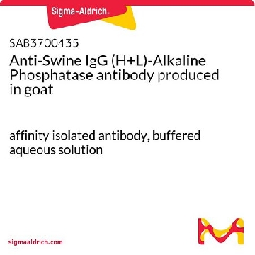 Anti-Swine IgG (H+L)-Alkaline Phosphatase antibody produced in goat，1MG，SAB3700435-1MG，Sigma