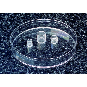 Scienceware ® 克隆缸，聚苯乙烯，50EA，C3983-50EA，Sigma