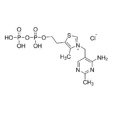 硫胺素焦磷酸，100G，C8754-100G，Sigma