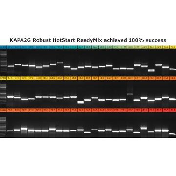 KAPA2G Robust PCR 试剂盒，250UNITS，KK5005，Roche