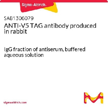 ANTI-V5 TAG antibody produced in rabbit，400UL，SAB1306079-400UL，Sigma