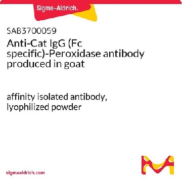 Anti-Cat IgG (Fc specific)-Peroxidase antibody produced in goat，2MG，SAB3700059-2MG，Sigma
