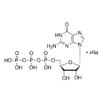 鸟苷5′-三磷酸 钠盐 水合物，10MG，G8877-10MG，Sigma