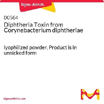 白喉毒素 来源于白喉杆菌，1MG，D0564-1MG，Sigma