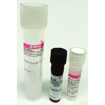 JumpStart™ Taq ReadyMix™预混液（定量PCR用），400REACTIONS，D7440-400RXN，Sigma