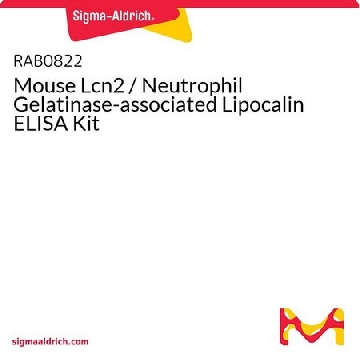 小鼠Lcn2 /中性粒细胞明胶酶相关Lipocalin ELISA试剂盒，96WELLS，RAB0822-1KT，Sigma