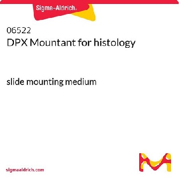 DPX封片剂用于组织学，100ML，06522-100ML，Sigma