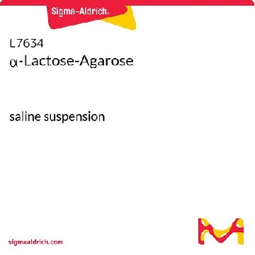 α-乳糖-琼脂糖，25ML，L7634-25ML，Sigma