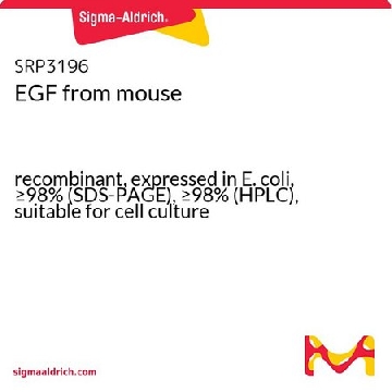 EGF 来源于小鼠，500UG，SRP3196-500UG，Sigma