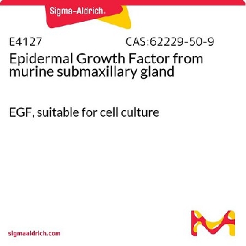 表皮生长因子 来源于鼠颔下腺，0.1MG，E4127-.1MG，Sigma
