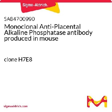 Monoclonal Anti-Placental Alkaline Phosphatase antibody produced in mouse，100UG，SAB4700990-100UG，Sigma